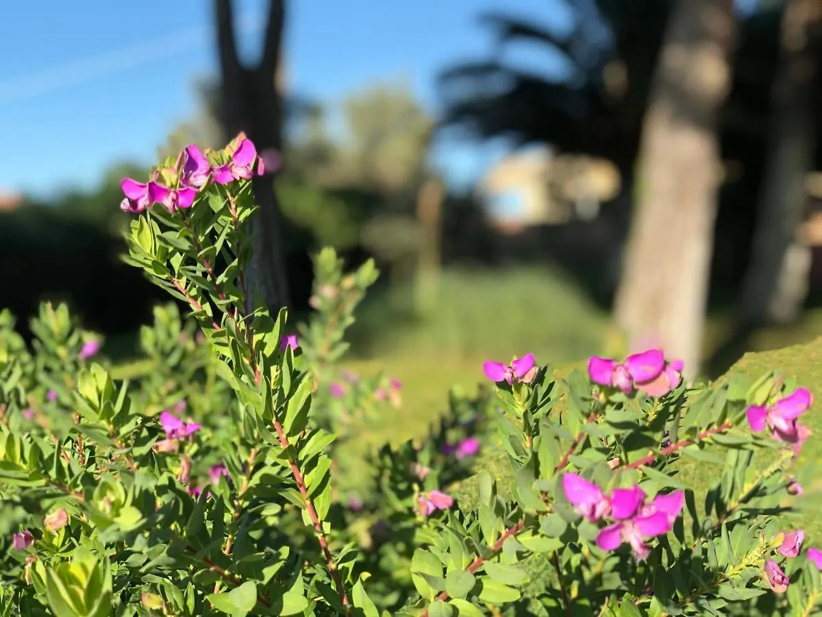 Bed & Breakfast Villa Lavinia B&B Montescudaio