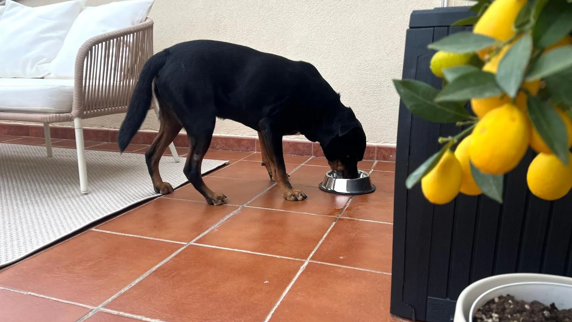 Bed & Breakfast Villa Lavinia B&B Montescudaio